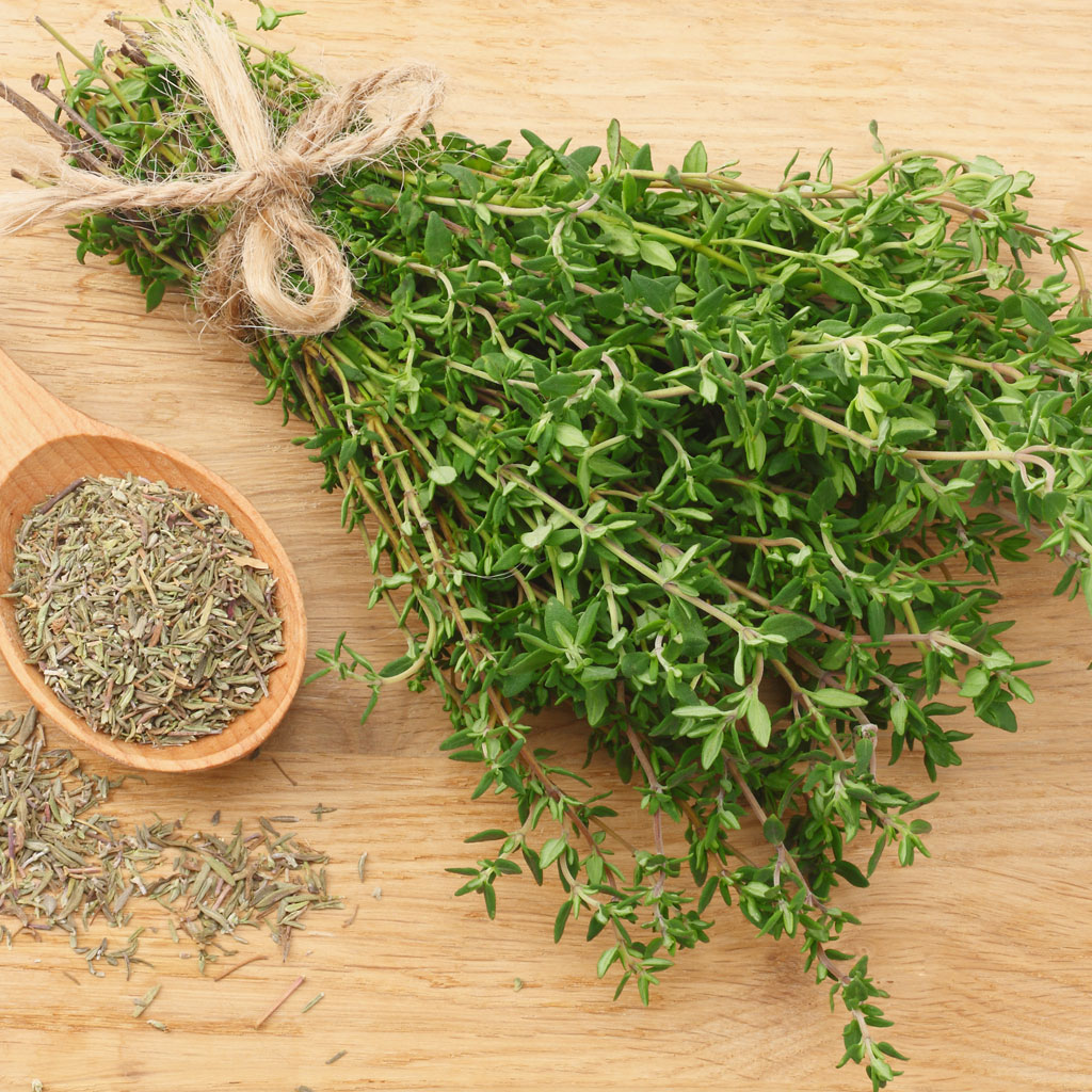 Village of Herbs | Το Χωριό των Βοτάνων | Θυμάρι